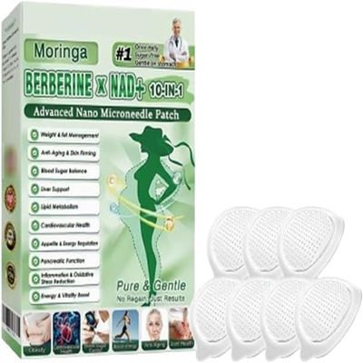 Healrize Moringa 10-in-1 Slimming Patches,Moringa 10-in-1 Advanced Nano Microneedle Patch,Natural Nano Micro Needle Patch,for Men and Women (1 Box)