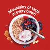 Wholegrain Muesli Sachets Alpen Original 45g Compatible with Alpen By Luxe Bitez (Pack of 20) view 4