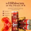 Rishh Hibiscus Sparkling Drink - 4 x 250ml Cans - Natural soda with with real ginger juice, Vegan, Botanical soft drink alternative (Ginger) view 3