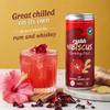 Rishh Hibiscus Sparkling Drink - 4 x 250ml Cans - Natural soda with with real ginger juice, Vegan, Botanical soft drink alternative (Ginger) view 4