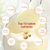 Bird's Nest Tremella Soybean Milk Powder Pure Brewing Instant Nutritious Breakfast 500g view 4