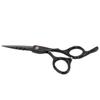 6 Inch Stainless Steel Scissors, Beard Trimming Scissors for Barber and Home Use, Professional Hairdressing Shears with Precision Blade and Ergonomic Handle, Mustache Scissors for (Black) view 2