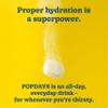 POPDAYS hydration tablets Lemon & Ginger Water Flavouring 14 Effervescent Electrolyte Tablets. With Vitamins B, C & D Zero Sugar & Zero Calories With Magnesium, Calcium & Zinc (Lemon & Ginger) view 4