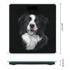 Border Collie Dog Bathroom Scales for Body Weight Led Display Step-On Digital Weighing Scales for People view 2