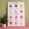 Biscuiteers Rose June Birth Flower Letterbox Biscuit view 2