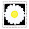 Biscuiteers April Birth Flower Biscuit view 1