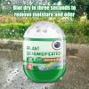 Moisture Absorber for Wardrobes, with Plant Extracts to Eliminate Moisture Absorbent for Rooms, for Use in Home, Cabinet, Kitchen, Bathroom, Basement, Garage and Car view 4