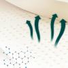 100% Natural Latex, 2in Thick, 100x200cm (39x79in), Breathable Honeycomb Ventilation, Soft & Comfortable, No Deformation, Compression Support, Eco-Friendly Sleep Solution view 4