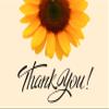 Benerry Chocolate Gift Box Hamper - 9 Treats Thank You Gift - Assorted Sweet Box of Chocolates view 2
