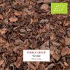 Everly Grace Red Velvet Cake, Organic Rooibos Tea, Dessert Infusion with Cocoa Shells Vanilla and Beetroot, Caffeine Free Herbal Tea, Red Velvet Cake Flavour, Loose Leaf Botanical Ingredients view 2