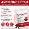 2 Pack Astaxanthin 12mg, 120 Softgels, Max Strength Antioxidant, Natural Formula, High Absorption for Eye & Skin, Brain, Heart, Immune System Support, Natural Formula, Non-GMO, Gluten Free view 2