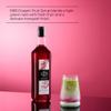 1883 Maison Routin Premium Dragon Fruit Syrup for Cocktails, Mocktails, Smoothies & Lemonades - Natural Flavour, No Artificial Ingredients - 1L PET Bottle view 2