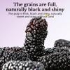Natural Wild Dried Black Mulberries, 8.8 oz250g - Sweet Delicious Vegan Dried Fruit Snacks for Tea & Daily Enjoyment,Perfect for infusing in hot water view 3