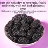 Natural Wild Dried Black Mulberries, 8.8 oz250g - Sweet Delicious Vegan Dried Fruit Snacks for Tea & Daily Enjoyment,Perfect for infusing in hot water view 4