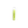 Kryoflare Contact Lens Cases, Contact Lens Applicator and Remover Tool with Soft Tip Tweezers,Portable Contact Lens Tweezers Suction Stick Contact Lens Inserter Removal Tool Sof tTip,Compact (Green) view 1