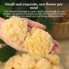 3 Packs Small Dried Tremella Fuciformis (50g Each) - Gutian Origin White Fungus, Perfect for Making Sweet Soup with Red Dates, Wolfberry & Lotus Seeds view 2