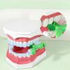 Easyinsmile Chewies for Invisalign Aligners Silicone Orthodontic Chewies Invisalign Munchies for Braces (Green - Mint Flavor) view 3
