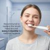 BarberBoss QR-7301 Replacement Toothbrush Heads, 4 Standard Heads and 2 Mini Heads, Dupont Bristles Head, Compatible with BarberBoss Electric Toothbrush (Pack of 6, White) view 4
