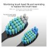 5/10 Pcs Replacement Brush Heads, Compatibility for Seago Fairywill Electric Toothbrush Head Refill Tooth Clean(5pcs Black) view 2