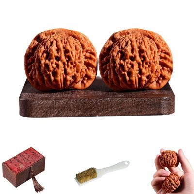 2PCS Chinese Walnuts Fidget, Wenwan Walnuts, Walnut Hand Massage Balls with Gift Box & Brush, Natural Texture Solid Wood, for Massage and Hand Training, Relaxation & Focus (Lion Head)