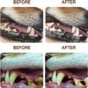 Dentaclean Spray for Dogs & Cats, Natural Breath Freshener No-Brush Oral Care Solution, Dentaclean -Dogs/Cats, for a Healthy Balance of Oral, Supports Gum Health Tartar Remove (2 Bottle) view 3