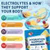 Electrolytes Powder Packets, Hydration Powder Drink Mix - 7 Essential Electrolytes, 5 Vitamins for Hydration & Nutrients Replenishment, Energy Recovery, Sugar Free - 24 Packets/6 Flavors view 4