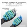 5/10/16 Pcs Replacement Brush HeadsCompatible for Fairywill Toothbrush Head T Bristle Refill Tooth Clean(Multi) view 3
