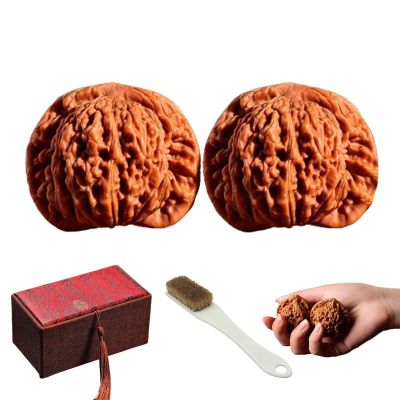 Chinese Walnuts Fidget Stress Relief Hand Exercise Balls, 2Pcs Wenwan Natural Walnut Set with Gift Box Brush, Relaxing Palm Rotation Toy for Focus Decompression Desk Play, 41-42mm(#a)