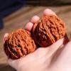 Chinese Walnuts Fidget Stress Relief Hand Exercise Balls, 2Pcs Wenwan Natural Walnut Set with Gift Box Brush, Relaxing Palm Rotation Toy for Focus Decompression Desk Play, 41-42mm(#a) view 4