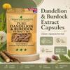Pure Dandelion and Burdock Capsules | Clean Formula 10:1 Extracts | High Strength Supplement | Crown Supplements UK (360 Capsules) view 3