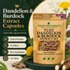 Pure Dandelion and Burdock Capsules | Clean Formula 10:1 Extracts | High Strength Supplement | Crown Supplements UK (360 Capsules) view 4