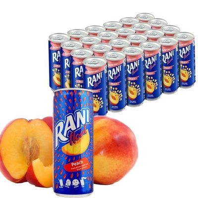 Anjoman Rani Peach Float Drink with Real Fruit Pieces 240ml (Pack of 24) | Real Fruit Juice with Peach Bits | Premium Tropical Soft Drink