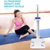 Digital Medical Scale with Height and Body Fat Analysis, Professional Multifunctional Device for Weight, BMI, and Obesity Measurement view 2