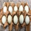 Free Range Duck Eggs (15) view 1