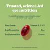 Eyetamins Vision Support Advanced Antioxidant Eye Supplement with Lutein, Zeaxanthin & Astaxanthin, Vitamins C, D & E, Zinc & Copper - Supports Healthy Vision and Eye Health, 30 Softgels view 4