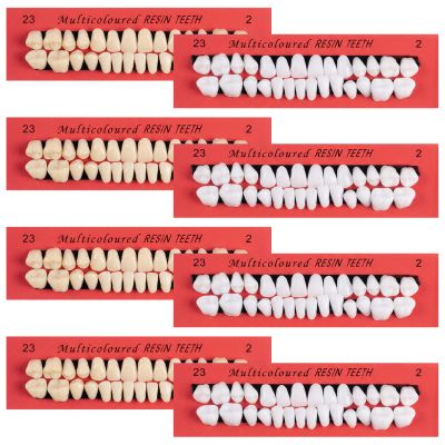 8 Pcs Fake Teeth, False Teeth Set, Tooth Replacement Set for Missing Loose Tooth Fill, Cosplay, Party, Makeup, DIY and Teaching Props