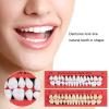 8 Pcs Fake Teeth, False Teeth Set, Tooth Replacement Set for Missing Loose Tooth Fill, Cosplay, Party, Makeup, DIY and Teaching Props view 3