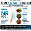 FREQNCY NAD+ Resveratrol Supplement 500mg Nicotinamide Riboside (NR) - Anti-Aging & Cellular Energy - NAD & NMN Alternative 60 Capsules - Vegan | Gluten Free view 4