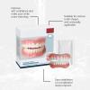 Instant Smile Enhancer Denture Kit - Natural Teeth Cover for Missing & Gaps, Comfortable Fit, Easy Application Cosmetic Solution view 4