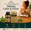 Ashwagandha Stress Support Supplement with KSM-66 | AshliVive+ Multi-Botanical Practitioner-Grade Formula | Calm, Focus & Steady Energy | Consistent Daily Support | UK Made Vegan Capsules | 90 Count view 2
