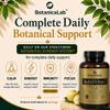 Ashwagandha Stress Support Supplement with KSM-66 | AshliVive+ Multi-Botanical Practitioner-Grade Formula | Calm, Focus & Steady Energy | Consistent Daily Support | UK Made Vegan Capsules | 90 Count view 3