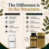 Ashwagandha Stress Support Supplement with KSM-66 | AshliVive+ Multi-Botanical Practitioner-Grade Formula | Calm, Focus & Steady Energy | Consistent Daily Support | UK Made Vegan Capsules | 90 Count view 4