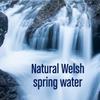Radnor Hills Still Mineral Water 500ml Screw Cap Bottles (Pack of 24) | Natural Welsh Spring Water | Hydrating & Refreshing view 3
