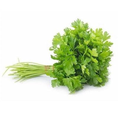 Fresh Coriander Leaves, Cilantro Herb, Indian Cooking Ingredient, Kothamalli, (2)