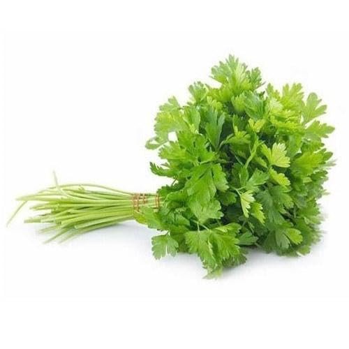 Fresh Coriander Leaves, Cilantro Herb, Indian Cooking Ingredient, Kothamalli, (2)