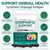 Lymphatic Drainage Supplement, Lymph System Support Supplement Lymph Cleanse Detox 21-in-1 Herbal Blend to Support Healthy Energy Levels and Immune Balance - 60PCS view 2