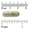 Abvna Satbva 400mg per Capsule, Food Supplement - 60 Count view 3
