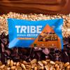 TRIBE Protein + Focus Flapjack Bars - Choc Caramel (12 x 55g) | Vegan Protein Bar | Lion's Mane, Ginseng + 9 Nutrients For Clarity & Natural Energy | Healthy Snack, Source Of Fibre view 2