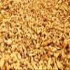 2kg Black Country Pork Scratchings view 1