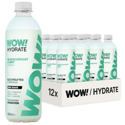 WOW! Hydrate - Blackcurrent & Mint - Electrolyte Drink - 12 x 500ml Ready-to-Drink Bottles - For Everyday Hydration - High Electrolyte, Low Calorie - Sugar Free, Fat Free, Halal Sports Drinks